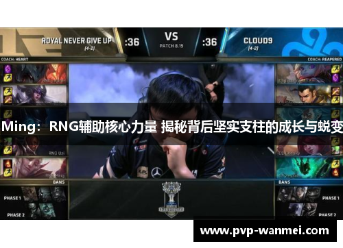 Ming：RNG辅助核心力量 揭秘背后坚实支柱的成长与蜕变